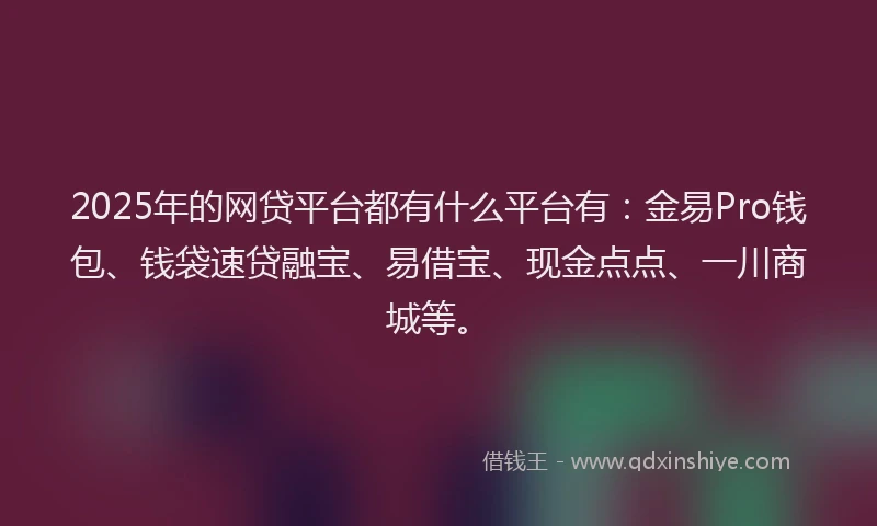 2025年的网贷平台都有什么平台有：金易Pro钱包、钱袋速贷融宝、易借宝、现金点点、一川商城等。