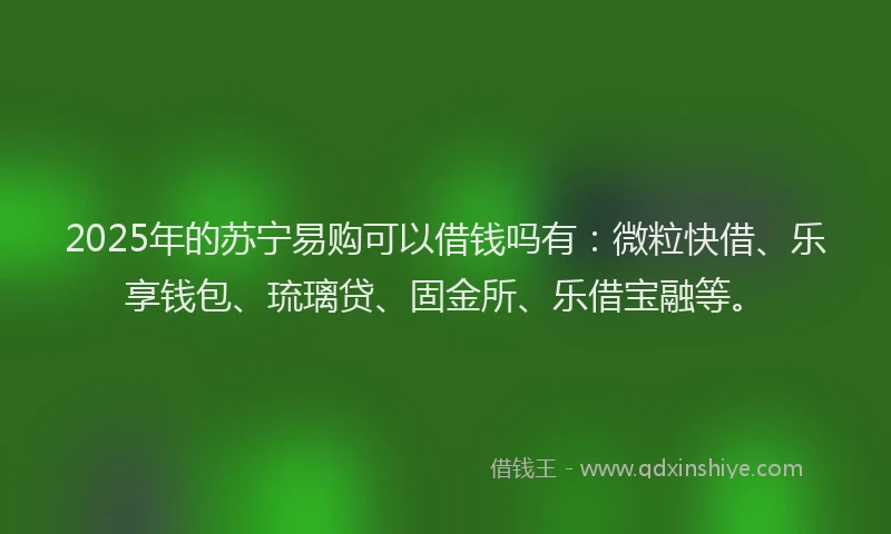 2025年的苏宁易购可以借钱吗有：微粒快借、乐享钱包、琉璃贷、固金所、乐借宝融等。