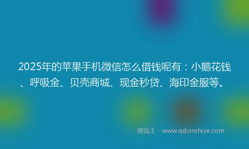 2025年的苹果手机微信怎么借钱呢有：小鹅花钱、呼吸金、贝壳商城、现金秒贷、海印金服等。