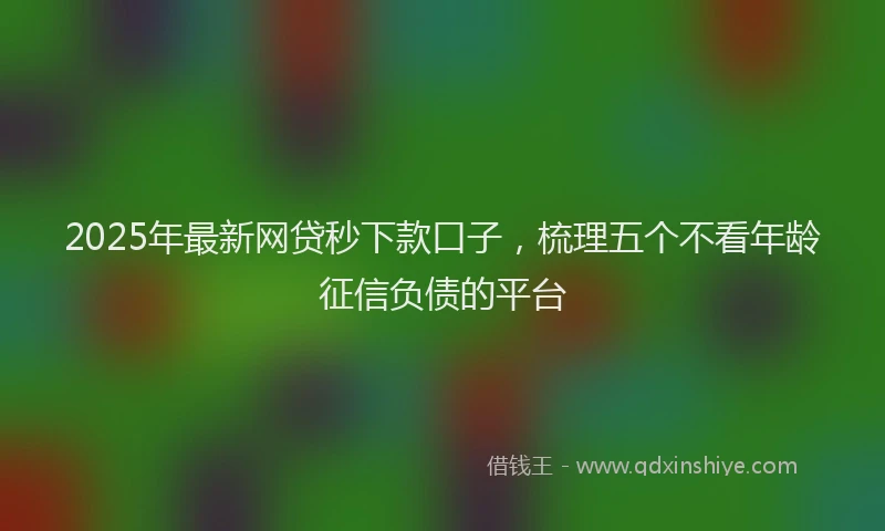 2025年最新网贷秒下款口子，梳理五个不看年龄征信负债的平台