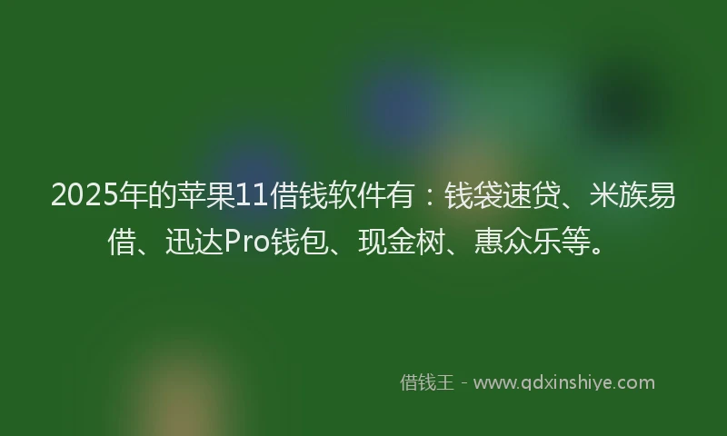 2025年的苹果11借钱软件有：钱袋速贷、米族易借、迅达Pro钱包、现金树、惠众乐等。