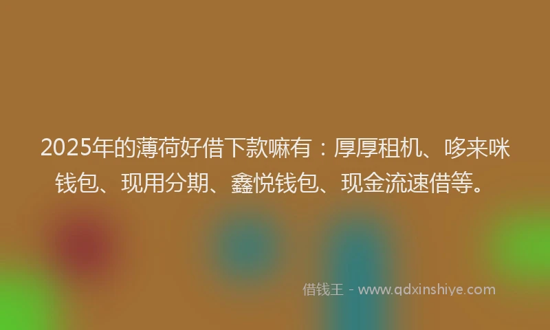 2025年的薄荷好借下款嘛有：厚厚租机、哆来咪钱包、现用分期、鑫悦钱包、现金流速借等。
