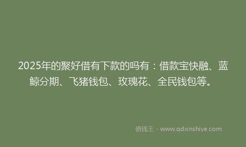 2025年的聚好借有下款的吗有：借款宝快融、蓝鲸分期、飞猪钱包、玫瑰花、全民钱包等。