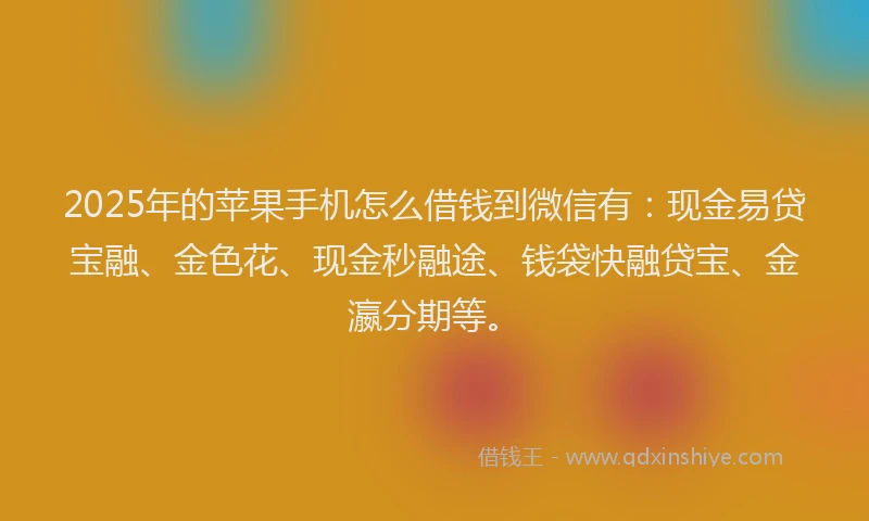 2025年的苹果手机怎么借钱到微信有：现金易贷宝融、金色花、现金秒融途、钱袋快融贷宝、金瀛分期等。