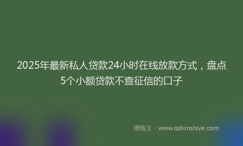 2025年最新私人贷款24小时在线放款方式，盘点5个小额贷款不查征信的口子