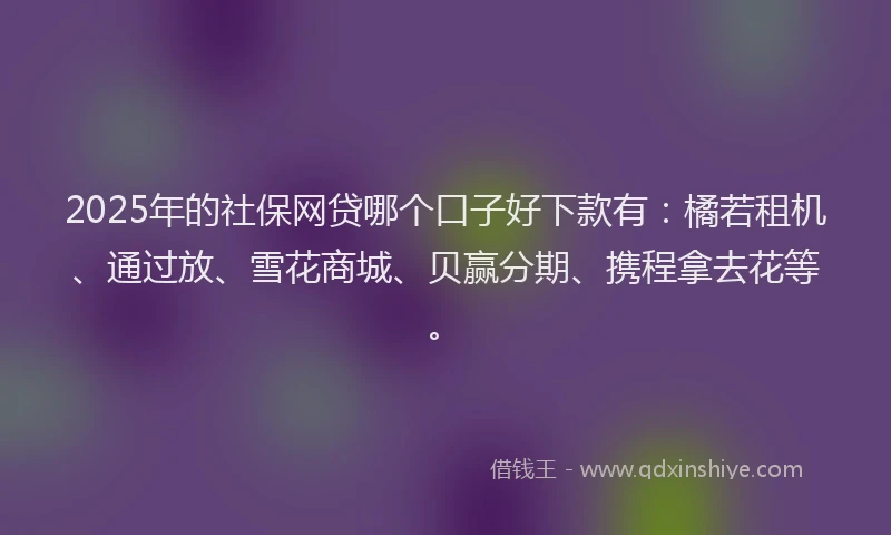 2025年的社保网贷哪个口子好下款有：橘若租机、通过放、雪花商城、贝赢分期、携程拿去花等。