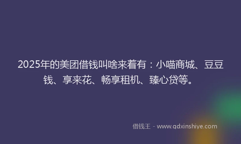 2025年的美团借钱叫啥来着有：小喵商城、豆豆钱、享来花、畅享租机、臻心贷等。