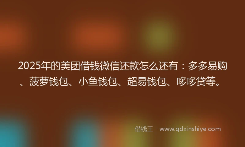 2025年的美团借钱微信还款怎么还有：多多易购、菠萝钱包、小鱼钱包、超易钱包、哆哆贷等。
