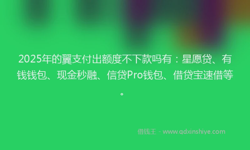 2025年的翼支付出额度不下款吗有：星愿贷、有钱钱包、现金秒融、信贷Pro钱包、借贷宝速借等。