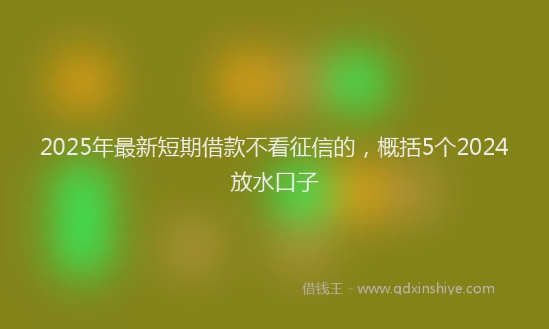 2025年最新短期借款不看征信的，概括5个2024放水口子