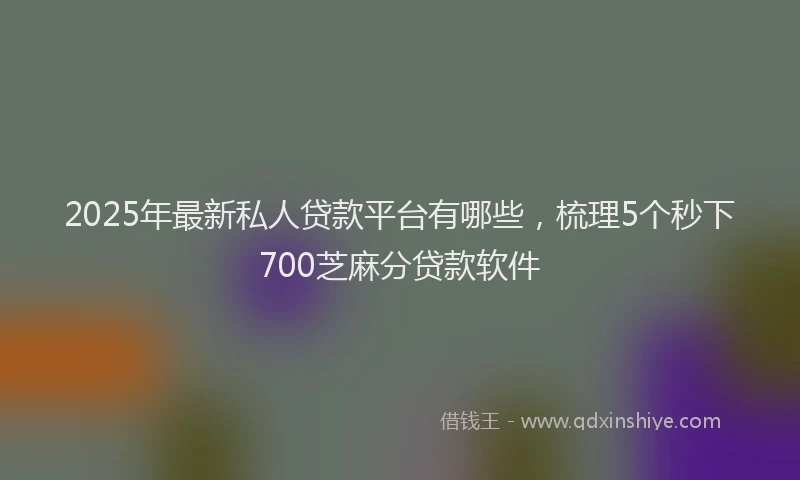 2025年最新私人贷款平台有哪些，梳理5个秒下700芝麻分贷款软件