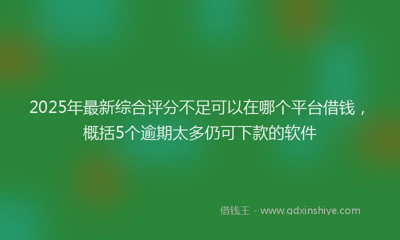 2025年最新综合评分不足可以在哪个平台借钱，概括5个逾期太多仍可下款的软件