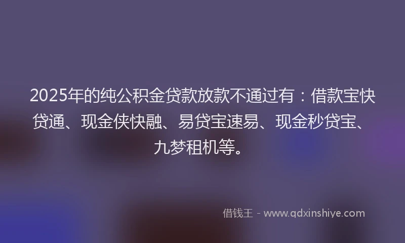 2025年的纯公积金贷款放款不通过有：借款宝快贷通、现金侠快融、易贷宝速易、现金秒贷宝、九梦租机等。