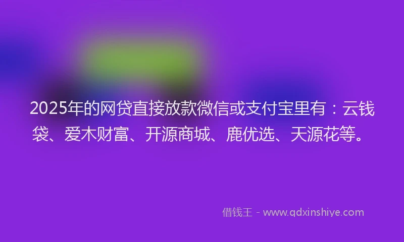 2025年的网贷直接放款微信或支付宝里有：云钱袋、爱木财富、开源商城、鹿优选、天源花等。