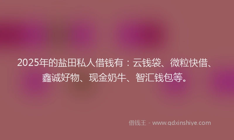 2025年的盐田私人借钱有：云钱袋、微粒快借、鑫诚好物、现金奶牛、智汇钱包等。