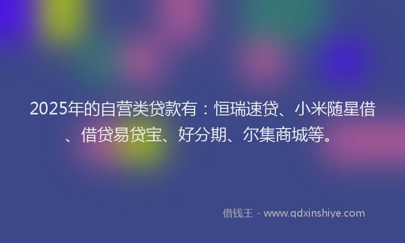 2025年的自营类贷款有：恒瑞速贷、小米随星借、借贷易贷宝、好分期、尔集商城等。