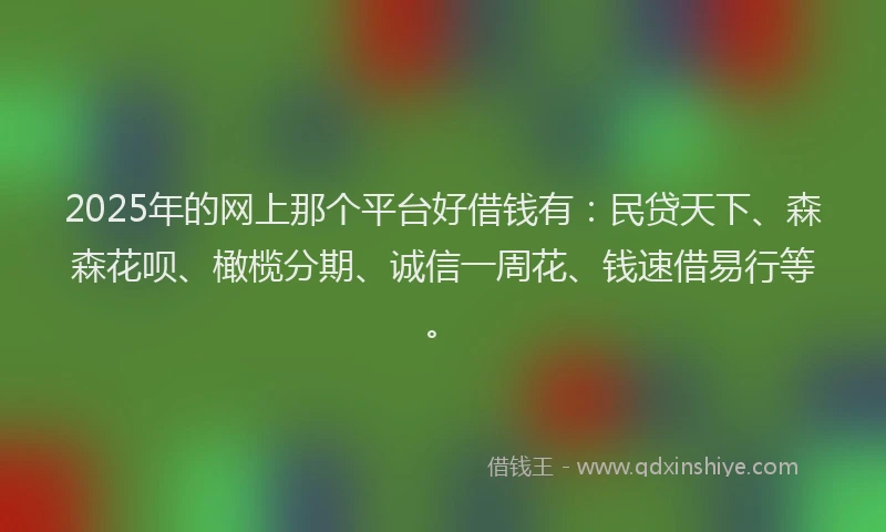 2025年的网上那个平台好借钱有：民贷天下、森森花呗、橄榄分期、诚信一周花、钱速借易行等。
