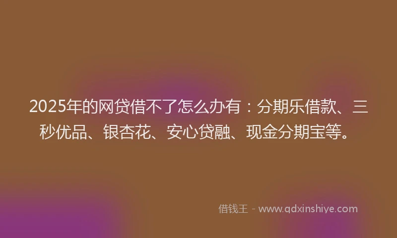 2025年的网贷借不了怎么办有：分期乐借款、三秒优品、银杏花、安心贷融、现金分期宝等。