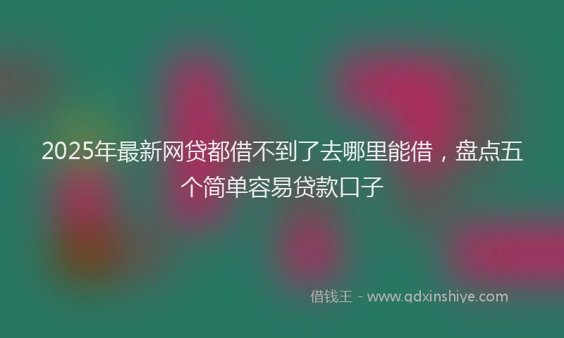 2025年最新网贷都借不到了去哪里能借，盘点五个简单容易贷款口子
