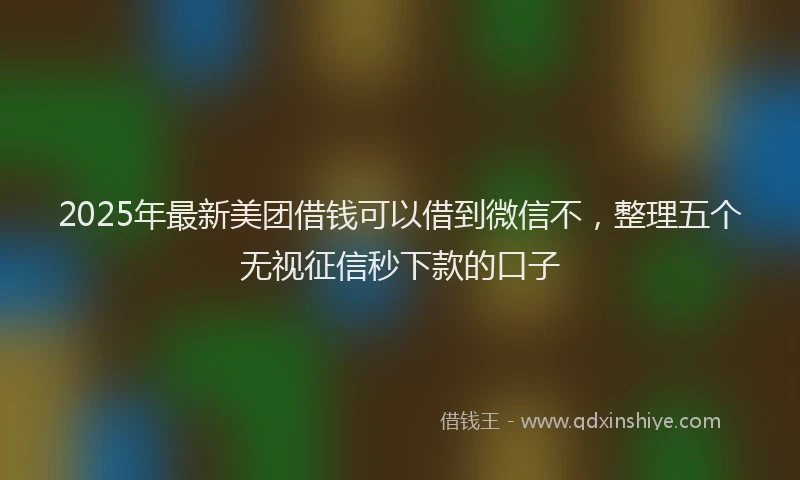 2025年最新美团借钱可以借到微信不，整理五个无视征信秒下款的口子