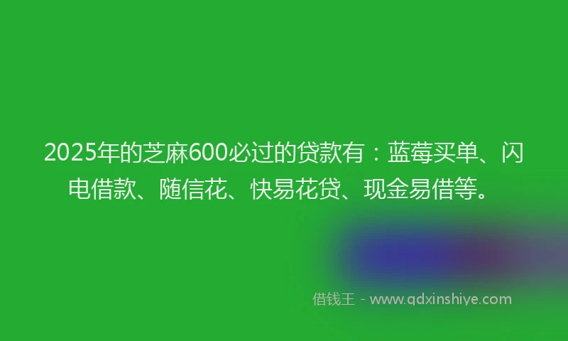 2025年的芝麻600必过的贷款有：蓝莓买单、闪电借款、随信花、快易花贷、现金易借等。