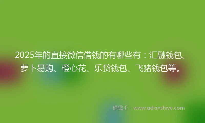 2025年的直接微信借钱的有哪些有：汇融钱包、萝卜易购、橙心花、乐贷钱包、飞猪钱包等。