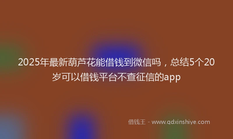2025年最新葫芦花能借钱到微信吗，总结5个20岁可以借钱平台不查征信的app