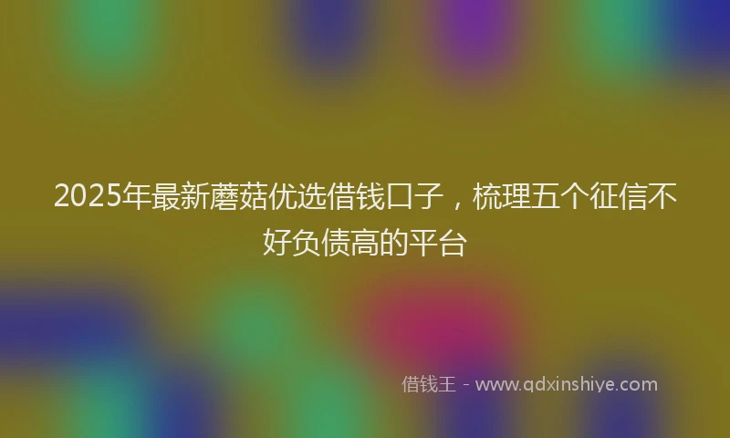 2025年最新蘑菇优选借钱口子，梳理五个征信不好负债高的平台