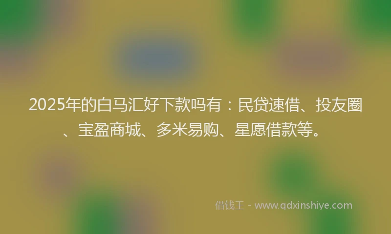 2025年的白马汇好下款吗有：民贷速借、投友圈、宝盈商城、多米易购、星愿借款等。