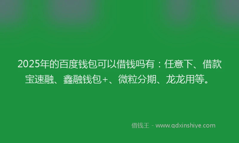 2025年的百度钱包可以借钱吗有：任意下、借款宝速融、鑫融钱包+、微粒分期、龙龙用等。