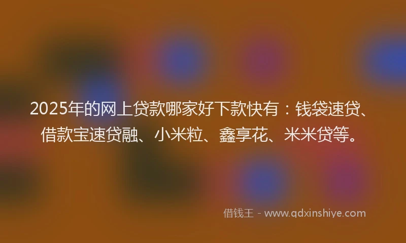 2025年的网上贷款哪家好下款快有：钱袋速贷、借款宝速贷融、小米粒、鑫享花、米米贷等。