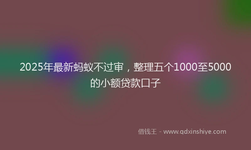 2025年最新蚂蚁不过审，整理五个1000至5000的小额贷款口子
