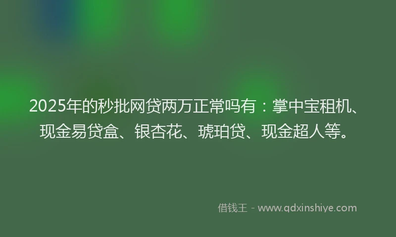 2025年的秒批网贷两万正常吗有：掌中宝租机、现金易贷盒、银杏花、琥珀贷、现金超人等。