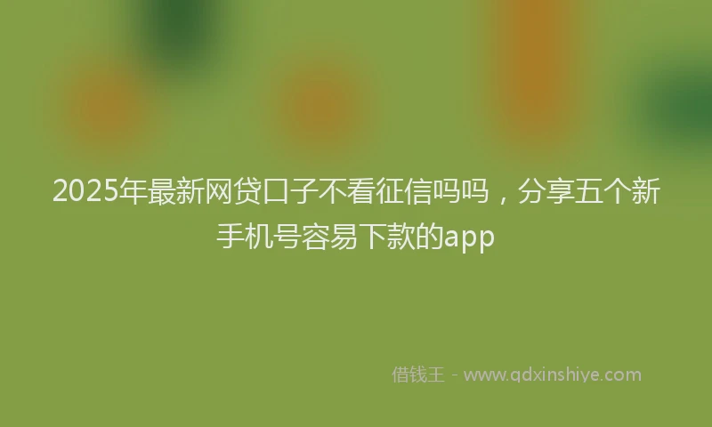 2025年最新网贷口子不看征信吗吗，分享五个新手机号容易下款的app