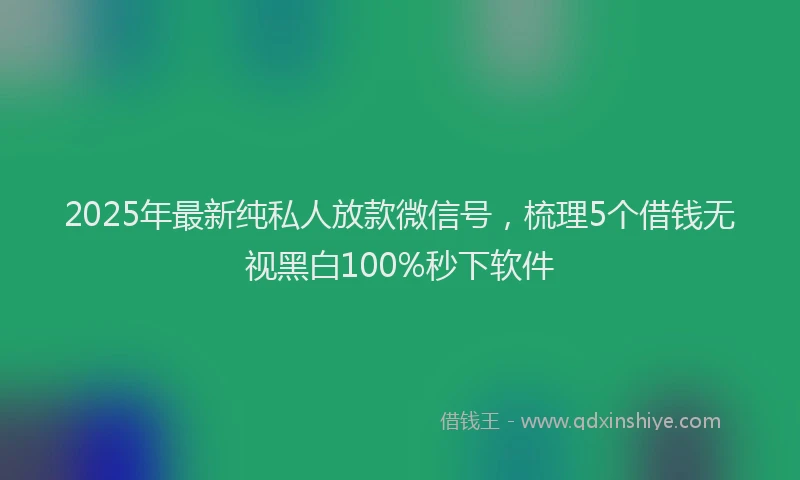 2025年最新纯私人放款微信号，梳理5个借钱无视黑白100%秒下软件