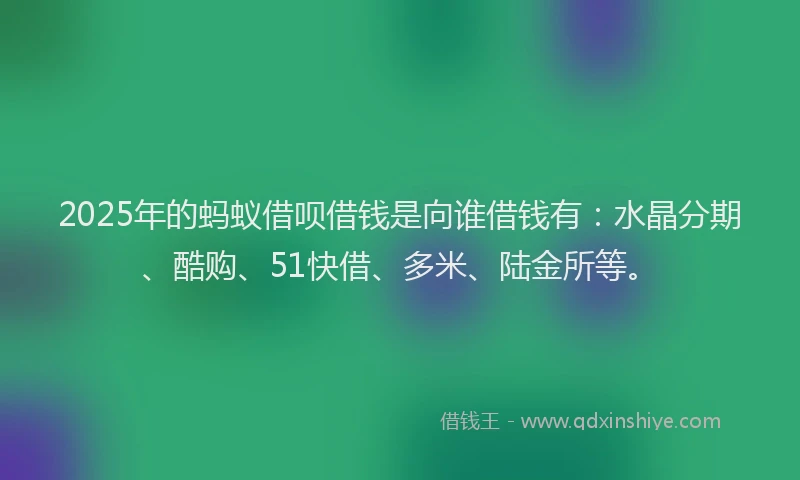 2025年的蚂蚁借呗借钱是向谁借钱有：水晶分期、酷购、51快借、多米、陆金所等。