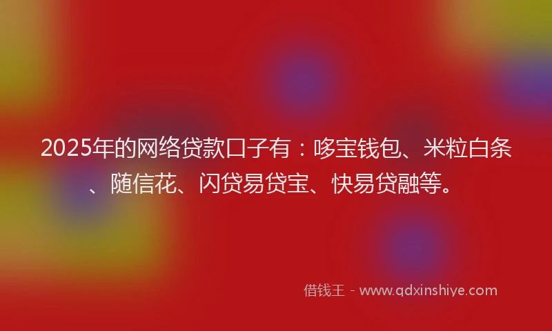 2025年的网络贷款口子有：哆宝钱包、米粒白条、随信花、闪贷易贷宝、快易贷融等。