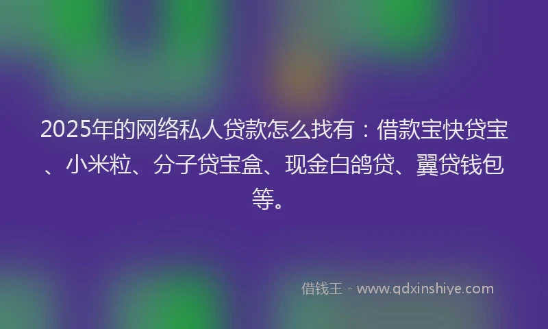 2025年的网络私人贷款怎么找有：借款宝快贷宝、小米粒、分子贷宝盒、现金白鸽贷、翼贷钱包等。