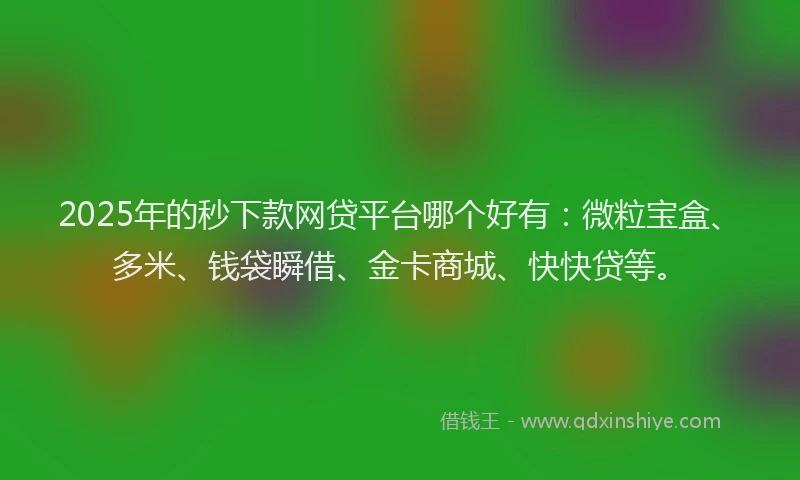 2025年的秒下款网贷平台哪个好有：微粒宝盒、多米、钱袋瞬借、金卡商城、快快贷等。