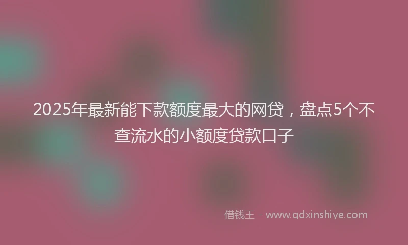 2025年最新能下款额度最大的网贷，盘点5个不查流水的小额度贷款口子