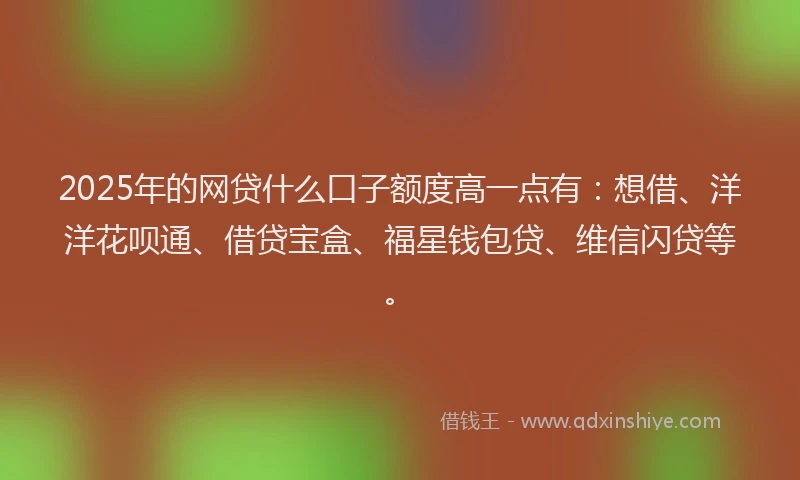 2025年的网贷什么口子额度高一点有：想借、洋洋花呗通、借贷宝盒、福星钱包贷、维信闪贷等。