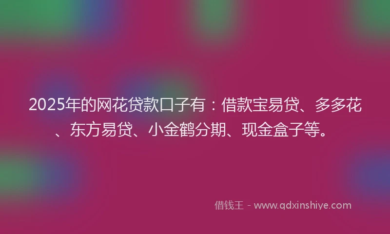 2025年的网花贷款口子有：借款宝易贷、多多花、东方易贷、小金鹤分期、现金盒子等。