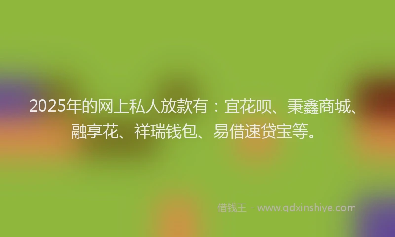 2025年的网上私人放款有：宜花呗、秉鑫商城、融享花、祥瑞钱包、易借速贷宝等。