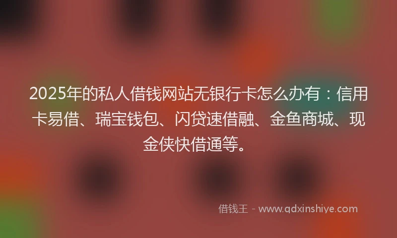 2025年的私人借钱网站无银行卡怎么办有：信用卡易借、瑞宝钱包、闪贷速借融、金鱼商城、现金侠快借通等。