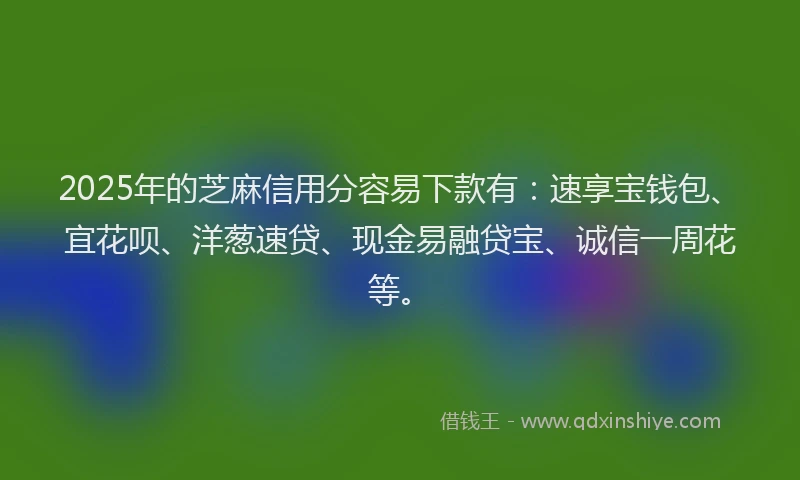 2025年的芝麻信用分容易下款有：速享宝钱包、宜花呗、洋葱速贷、现金易融贷宝、诚信一周花等。