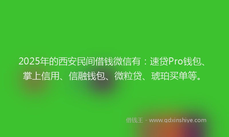 2025年的西安民间借钱微信有：速贷Pro钱包、掌上信用、信融钱包、微粒贷、琥珀买单等。