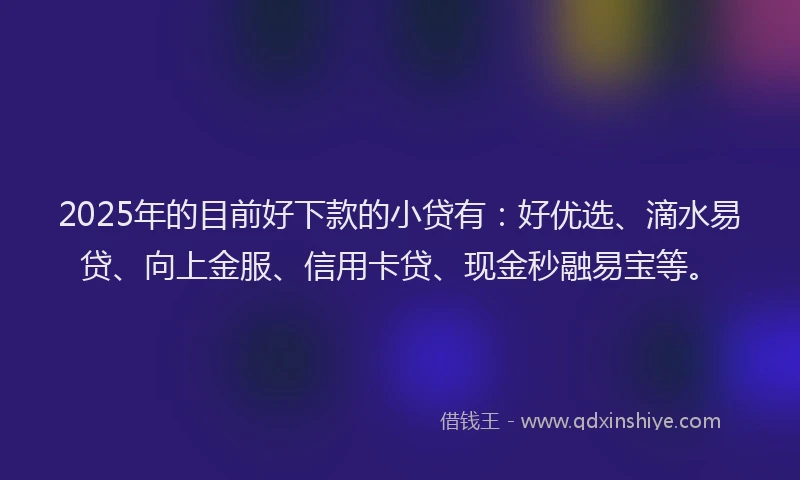 2025年的目前好下款的小贷有：好优选、滴水易贷、向上金服、信用卡贷、现金秒融易宝等。
