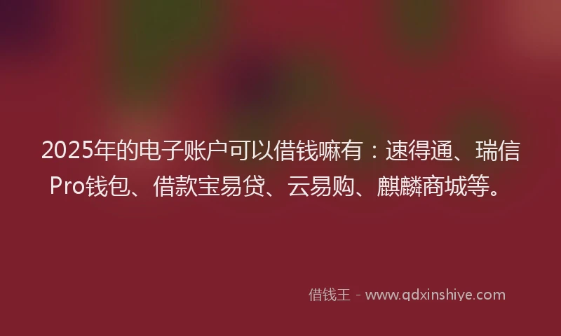 2025年的电子账户可以借钱嘛有：速得通、瑞信Pro钱包、借款宝易贷、云易购、麒麟商城等。