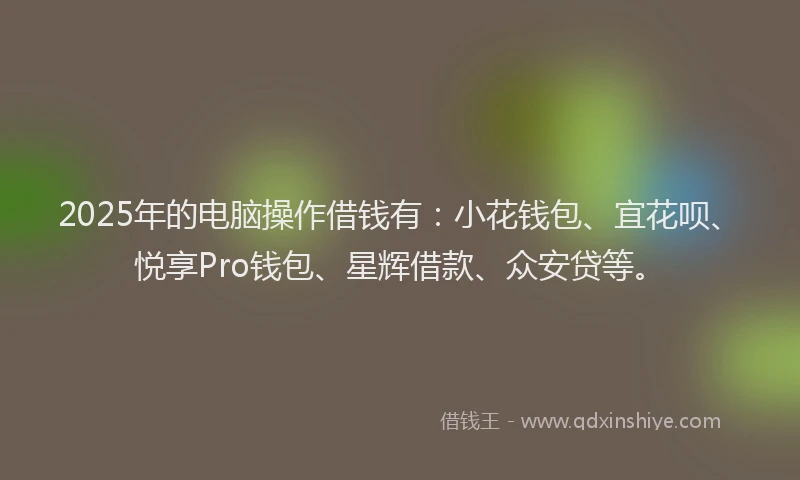 2025年的电脑操作借钱有：小花钱包、宜花呗、悦享Pro钱包、星辉借款、众安贷等。