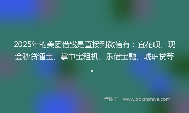 2025年的美团借钱是直接到微信有：宜花呗、现金秒贷通宝、掌中宝租机、乐借宝融、琥珀贷等。